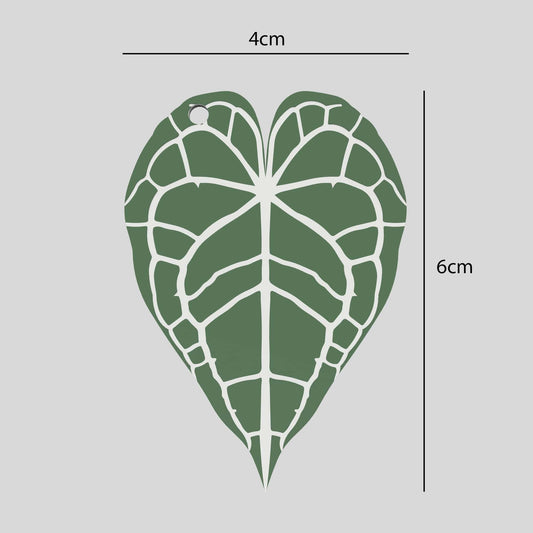 Schlüsselanhänger Clarinervium Abmessungen