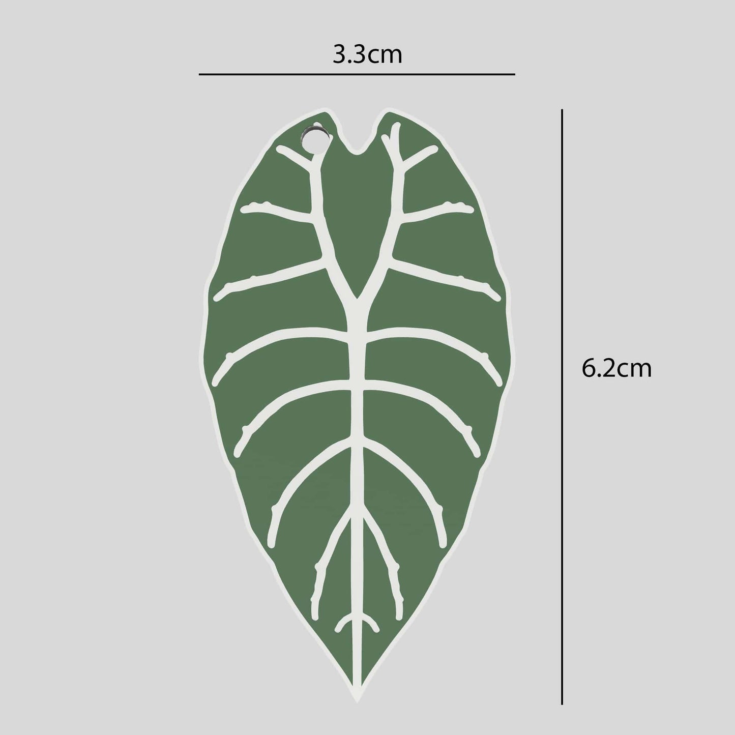 Schlüsselanhänger Alocasia Watsoniana Abmessungen